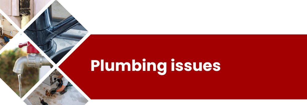 Warning signs to look out for: – illustration for Biggest Home Inspection Red Flags To Look Out For Before Buying