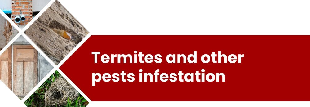 Warning signs to look out for: – illustration for Biggest Home Inspection Red Flags To Look Out For Before Buying