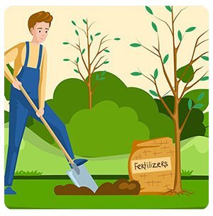 Why is curb appeal crucial to attracting potential buyers? – illustration for Curb Appeal Projects to Focus On If You Want To Sell Your Home This Spring