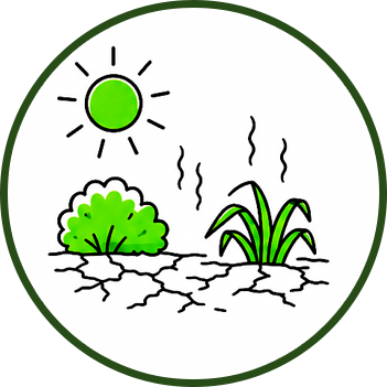Regional climate illustration – how local weather affects landscaping costs for homebuyers in Cape Cod and New England
