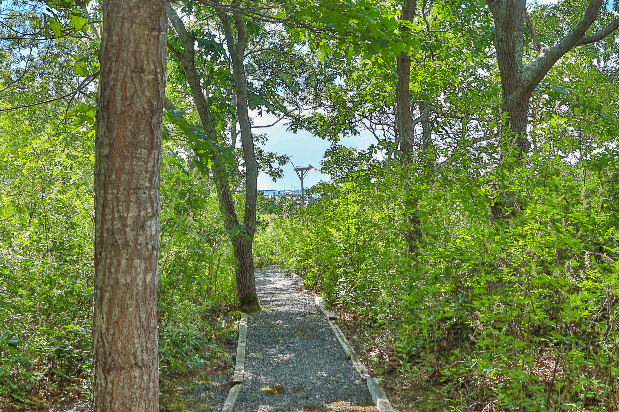 22 and 23 Samoset Rd thumbnail 44